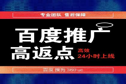 百度SEO推广成功案例：品牌知名度提升